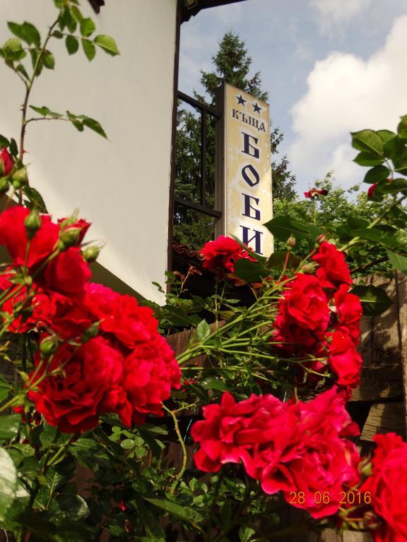 Bobi Guest House โคปริฟชทิทซา ภายนอก รูปภาพ